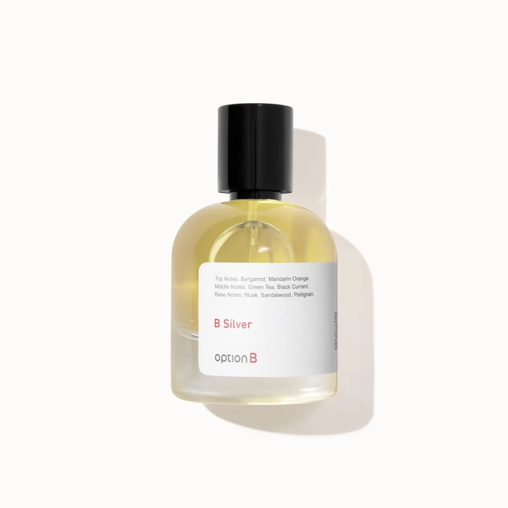 Option B B Silver - Inspired by Creed Silver Mountain Water - 50 ml