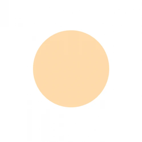 Vanessium Waterproof Foundation SPF50+
