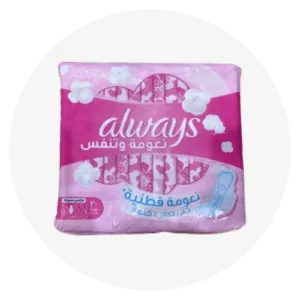 Pantyliner