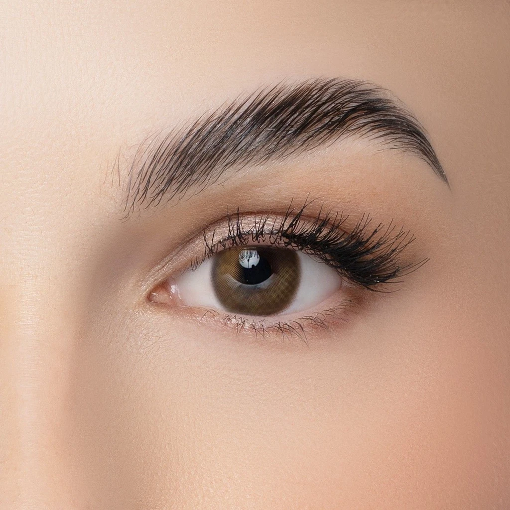 Beauteous Daily Color Contact Lens - Butterfly - 10 Lenses