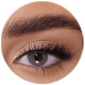 Afle Lenses