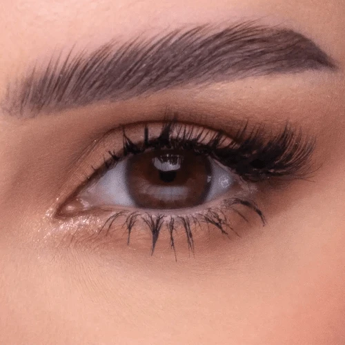 Amara Daily Color Contact Lens - Chocolate