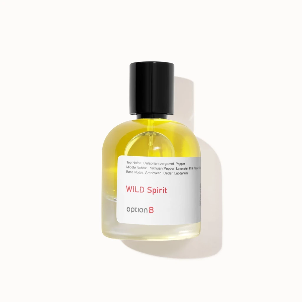 Option B Wild Spirit - Inspired by Sauvage Dior - 50 Ml