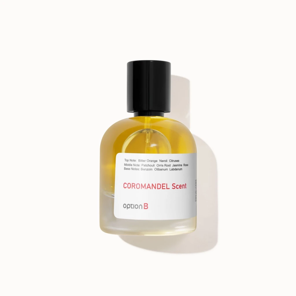 Option B Coromandel Scent - inspired by Chanel Coromandel - 50 ml