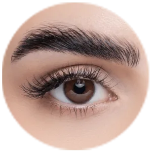 Beauteous Prescription Contact Lenses