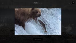 n-america-modal-thumbnail.jpg